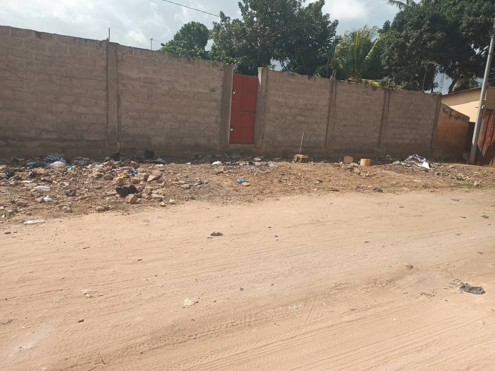 À vendre terrain 600 m² à Avédji ametossimé — 55 000 000 FCFA